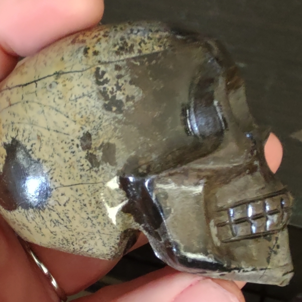 stromatolite Jasper crystal skull